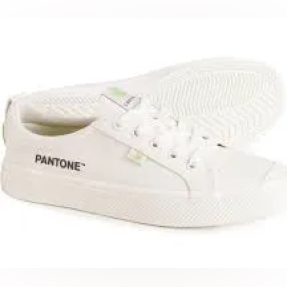 NWOB Cariuma Oca low off white canvas sneakers